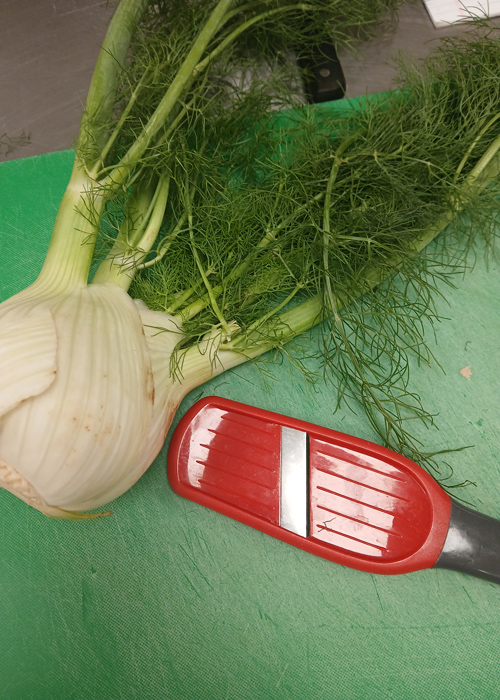 Fresh fennel bulb with fronds beside a red handheld mandolin slicer on a green cutting board, highlighting essential prep tools for precise slicing.