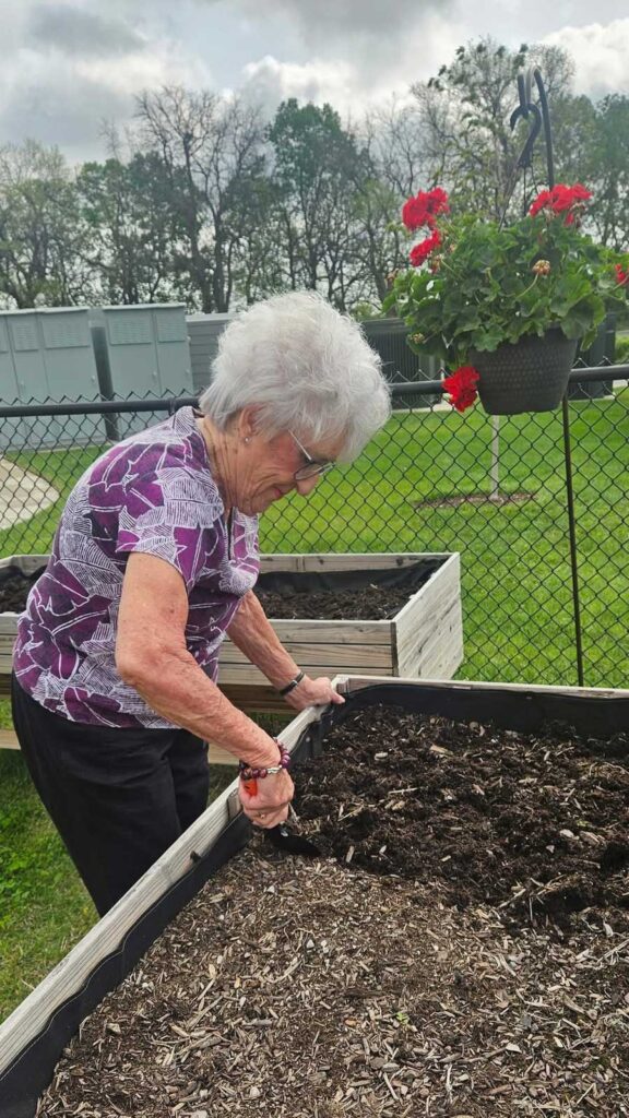 Senior resident tends to a raised garden bed, using a small hand shovel to prepare the soil for planting on a cloudy day in the outdoor courtyard garden.